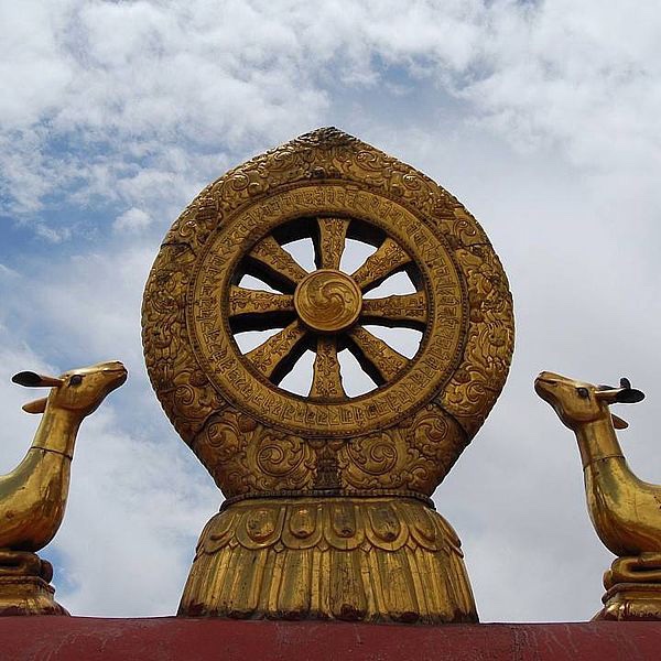 The Dharma wheel