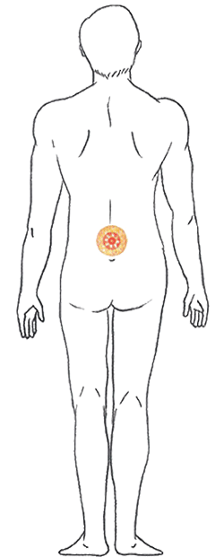 Meng Mein Chakra on Body